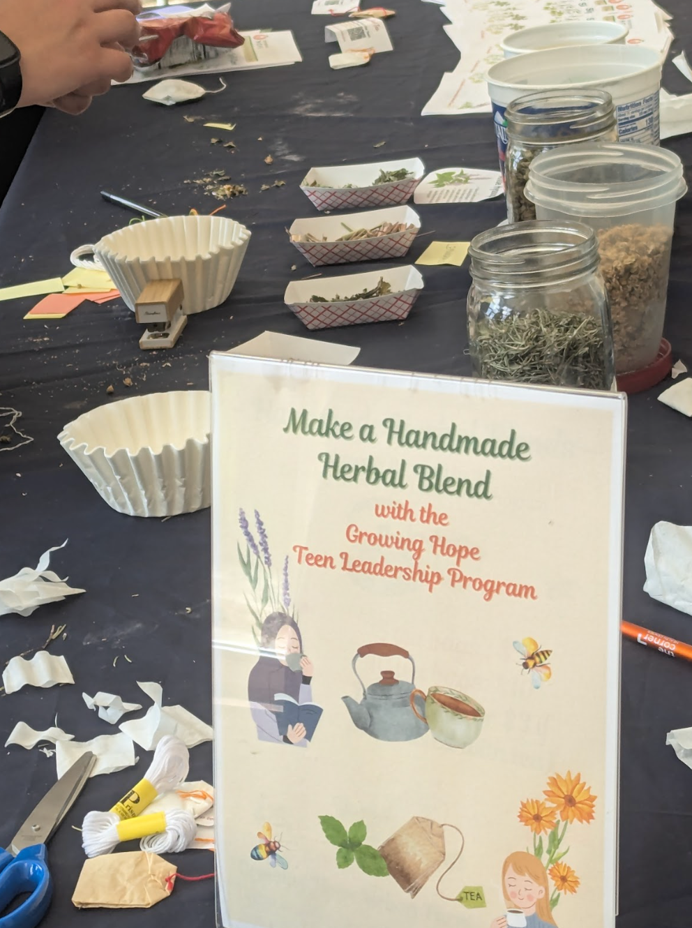 Mental Health Fair photo